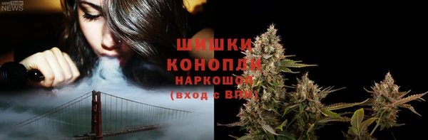сатива Арсеньев
